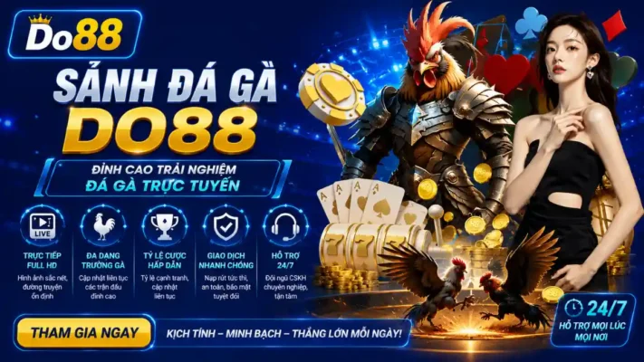 Sảnh Đá Gà DO88 phát sóng trực tiếp các trận đấu chất lượng Full HD, tỷ lệ cược hấp dẫn, giao dịch nhanh, bảo mật cao và hỗ trợ người chơi 24/7.
