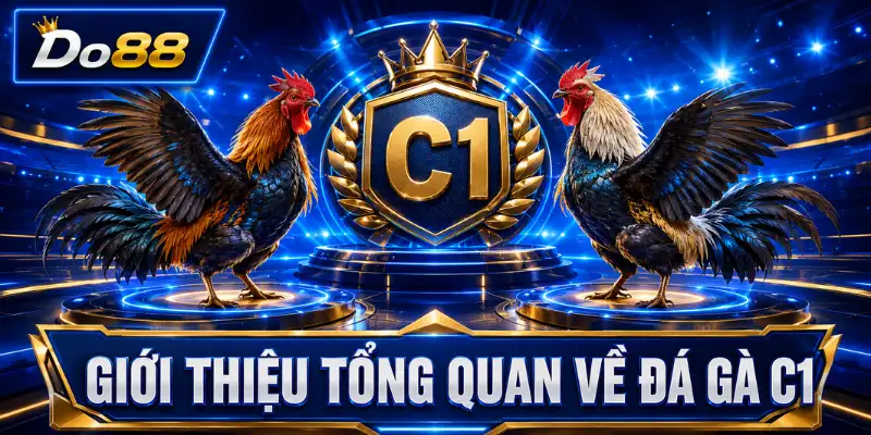 Giới thiệu tổng quan về đá gà C1 tại DO88 với hai chiến kê thi đấu trong không gian trường gà trực tuyến sống động.