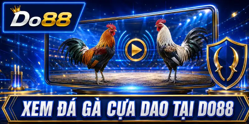 Xem đá gà cựa dao tại DO88 với hình ảnh hai chiến kê thi đấu trên màn hình phát trực tiếp.