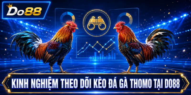 Kinh nghiệm theo dõi kèo đá gà Thomo tại DO88 dựa trên phong độ, thể trạng và lối thi đấu của từng chiến kê.